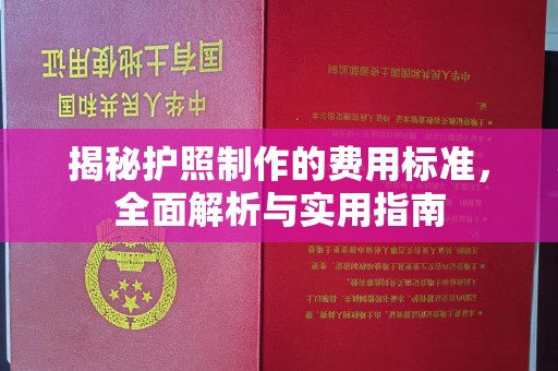 山东揭秘护照制作的费用标准，全面解析与实用指南